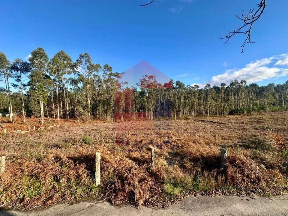 Terreno para Venda em Alheira e Igreja Nova Foto 3