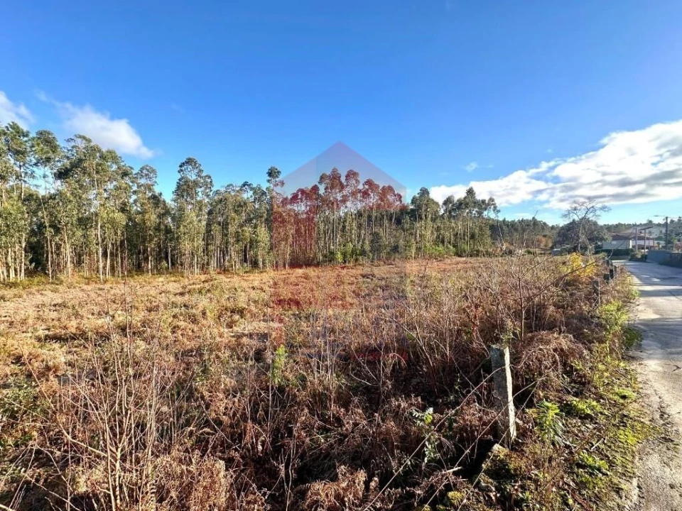 Terreno para Venda em Alheira e Igreja Nova Foto 13