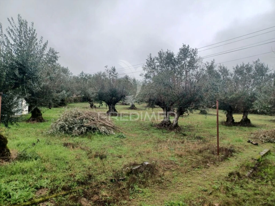 Quinta T2 para Venda em Urra Foto 14