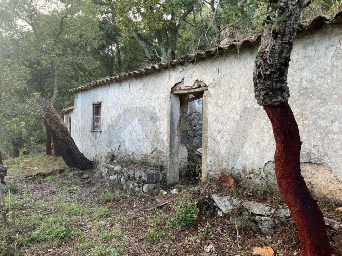 Quinta T2 para Venda em Marmelete