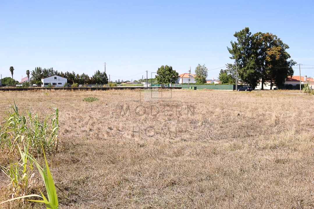 Terreno para Venda em Benavente Foto 1
