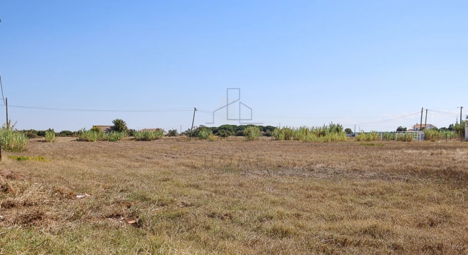 Terreno para Venda em Benavente Foto 3