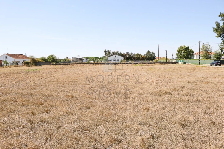 Terreno para Venda em Benavente Foto 4