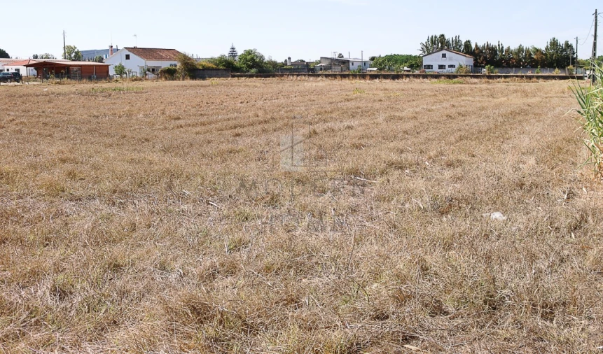 Terreno para Venda em Benavente Foto 6