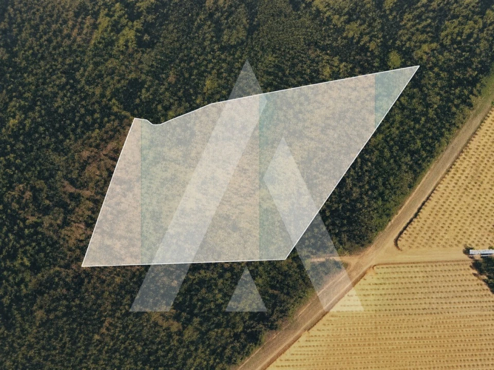 Terreno Comércio / Armazém para Venda em Pinheiro da Bemposta, Travanca e Palmaz Foto 5