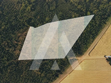Terreno Comércio / Armazém para Venda em Pinheiro da Bemposta, Travanca e Palmaz