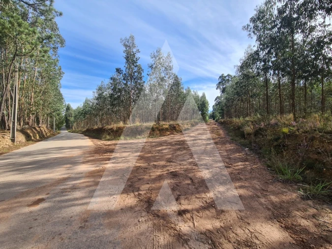 Terreno Comércio / Armazém para Venda em Pinheiro da Bemposta, Travanca e Palmaz Foto 2