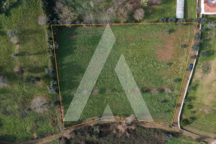 Terreno para Venda em Arrifana