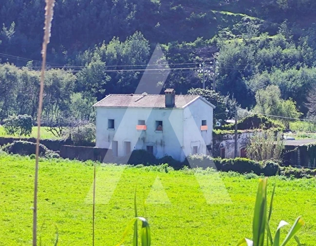Moradia T1 para Venda em Lousã e Vilarinho Foto 5