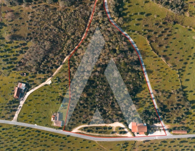 Moradia T5 para Venda em Freixianda, Ribeira do Fárrio e Formigais Foto 24