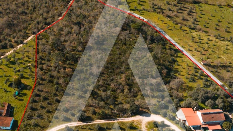 Moradia T5 para Venda em Freixianda, Ribeira do Fárrio e Formigais