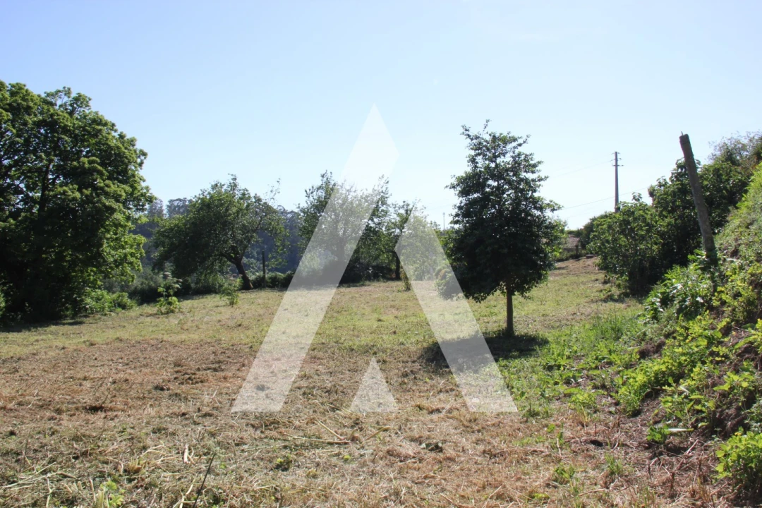 Terreno para Venda em Abação e Gémeos Foto 13
