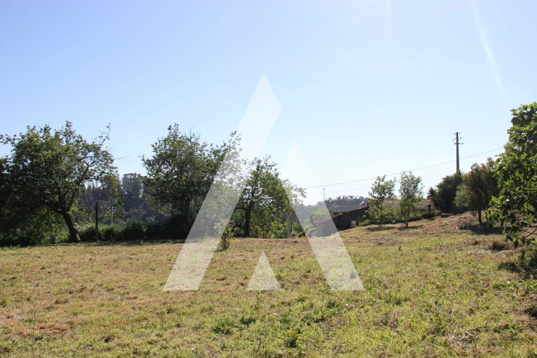 Terreno para Venda em Abação e Gémeos Foto 1
