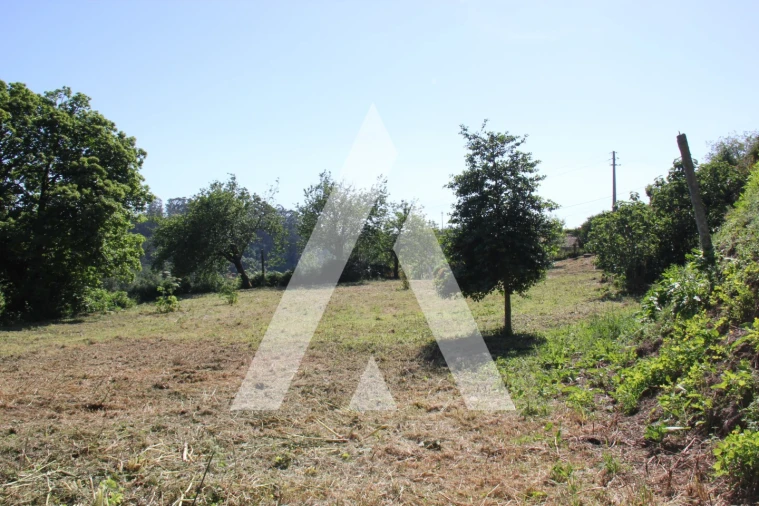 Terreno para Venda em Abação e Gémeos Foto 13
