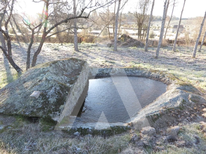 Terreno para Venda em Santar e Moreira Foto 3