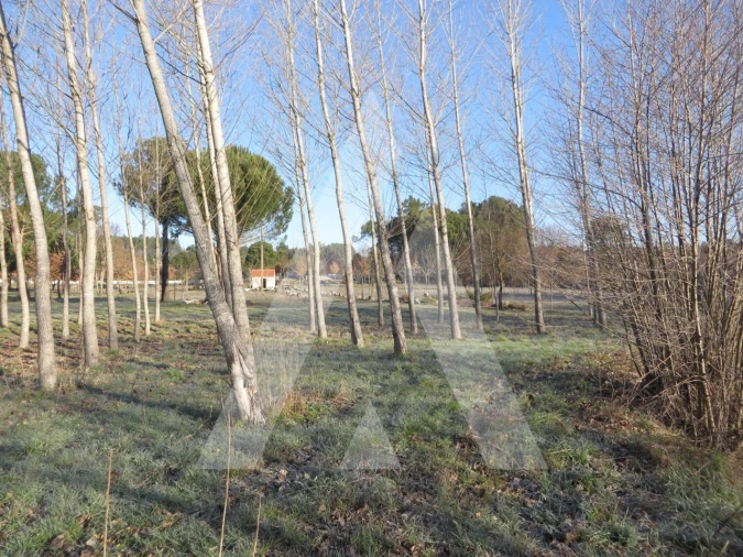 Terreno para Venda em Santar e Moreira Foto 6