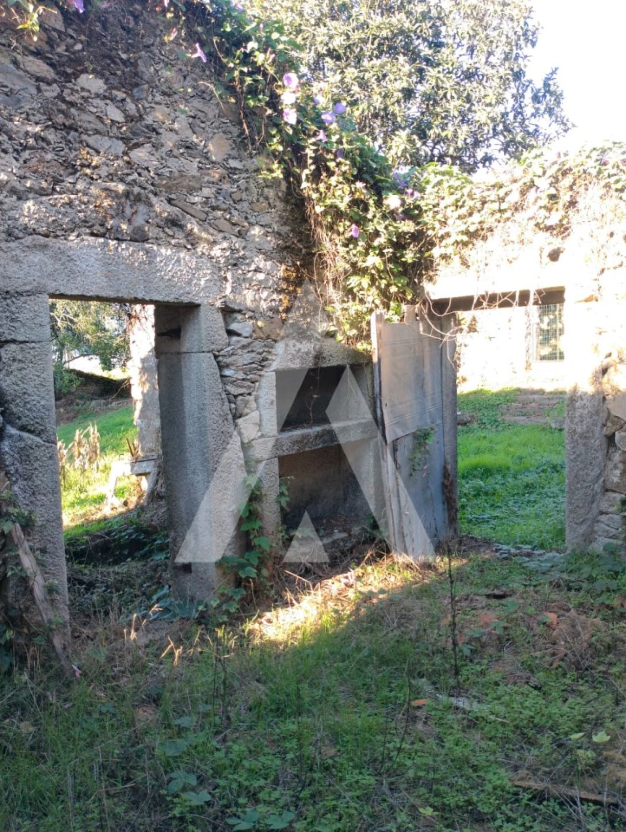 Terreno para Venda em Durrães e Tregosa Foto 4