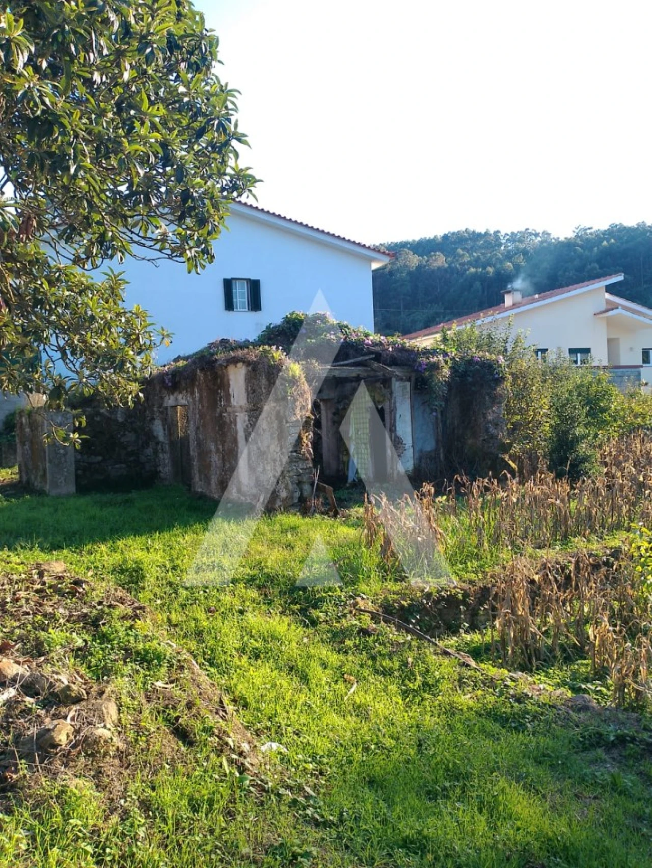 Terreno para Venda em Durrães e Tregosa Foto 2