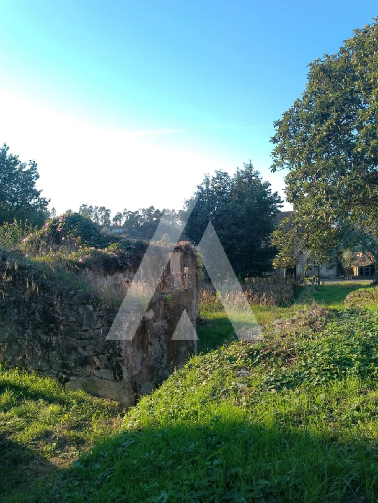 Terreno para Venda em Durrães e Tregosa Foto 10