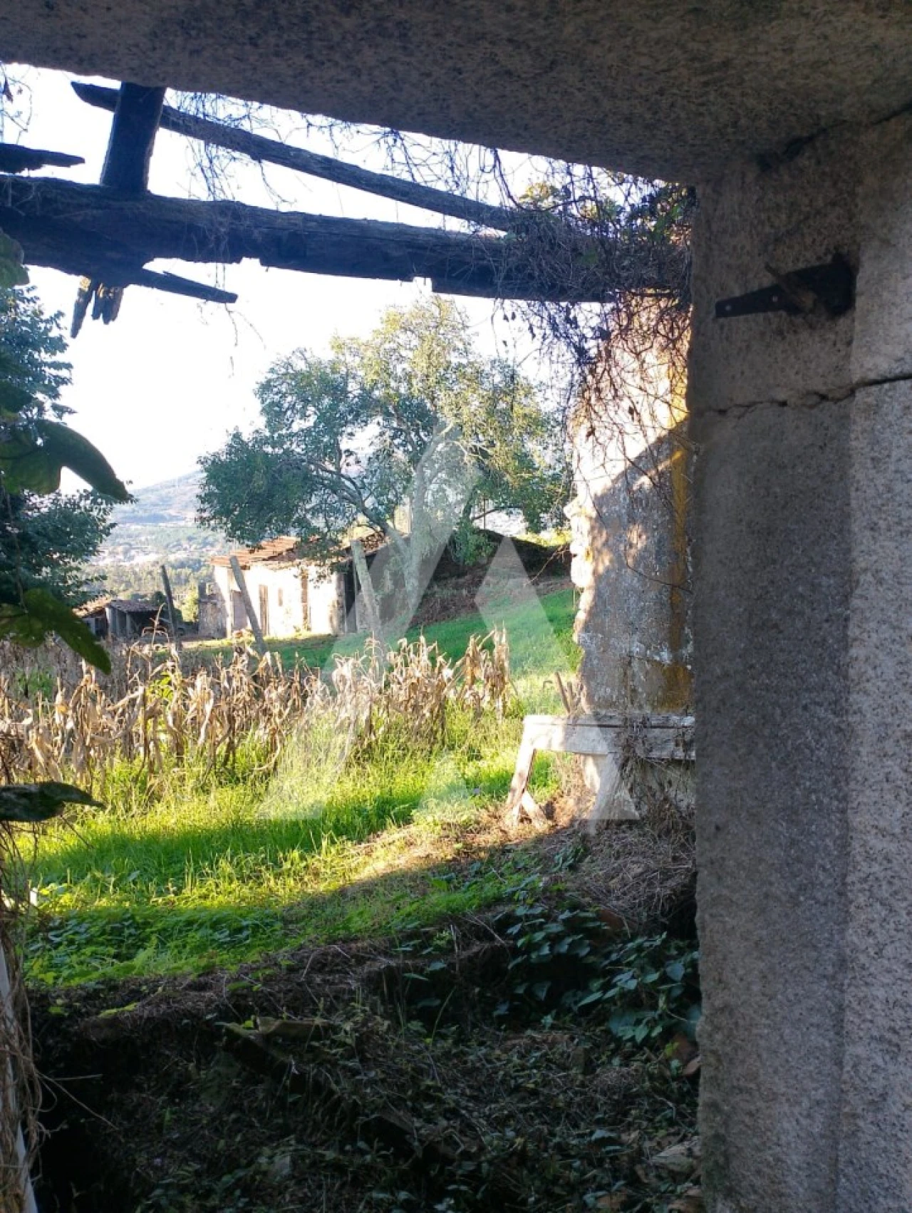 Terreno para Venda em Durrães e Tregosa Foto 6