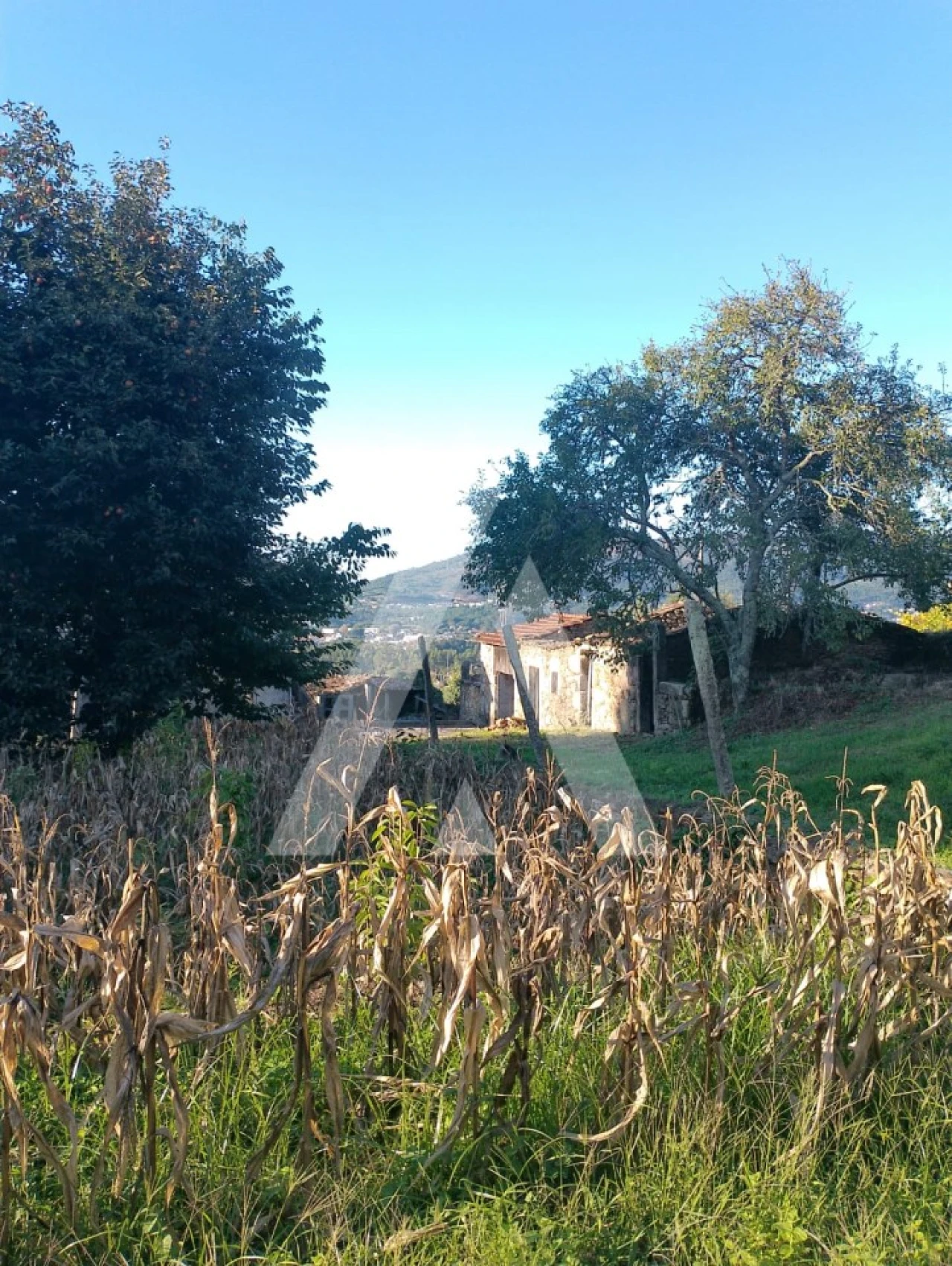 Terreno para Venda em Durrães e Tregosa Foto 8