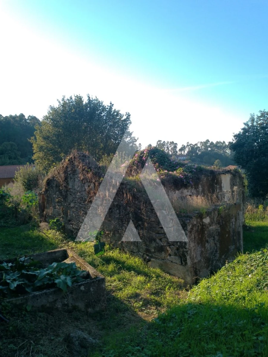 Terreno para Venda em Durrães e Tregosa