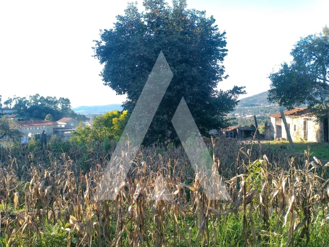 Terreno para Venda em Durrães e Tregosa Foto 12