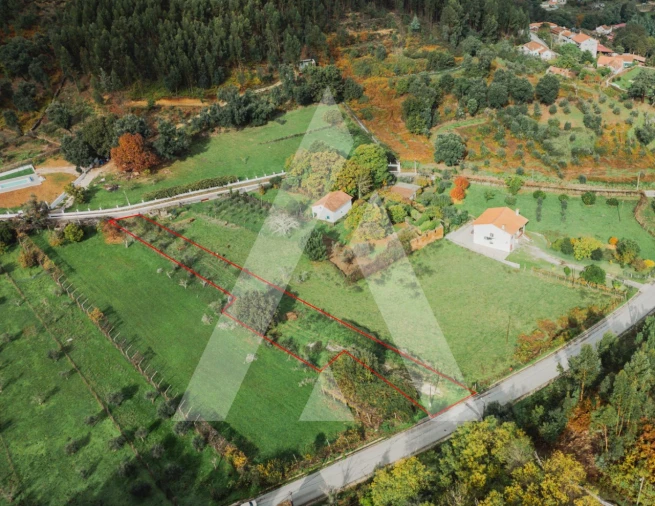 Terreno para Venda em Castanheira de Pêra e Coentral Foto 9