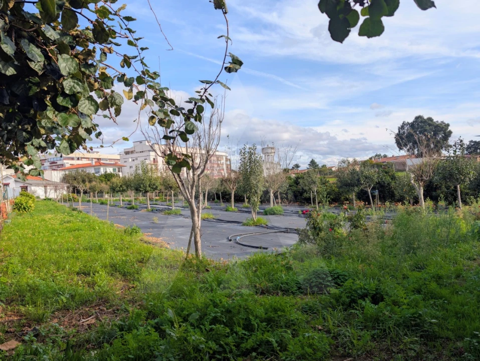 Moradia T3 para Venda em Albergaria-A-Velha e Valmaior Foto 40