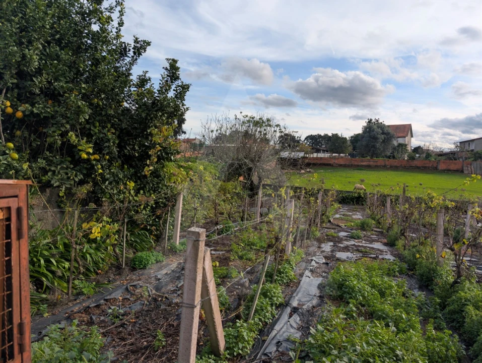 Moradia T3 para Venda em Albergaria-A-Velha e Valmaior Foto 41