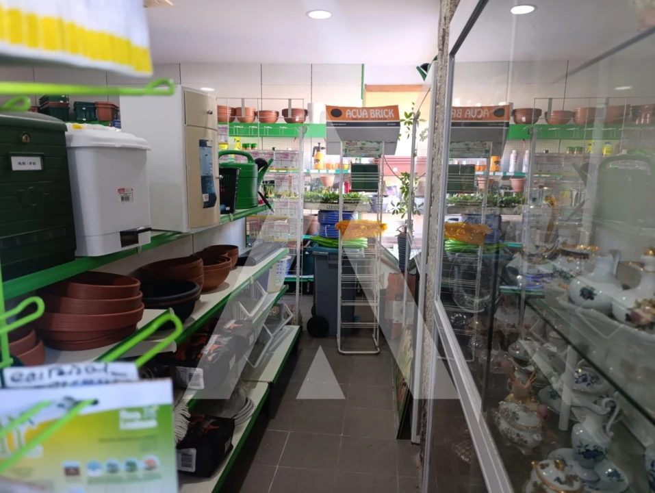 Negócio para Cedência de Quotas em Santa Maria Maior e Monserrate e Meadela Foto 9