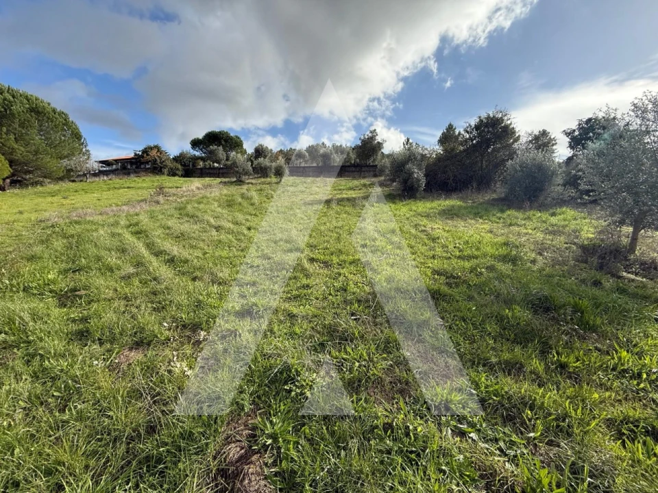 Terreno para Venda em Arrabal Foto 12