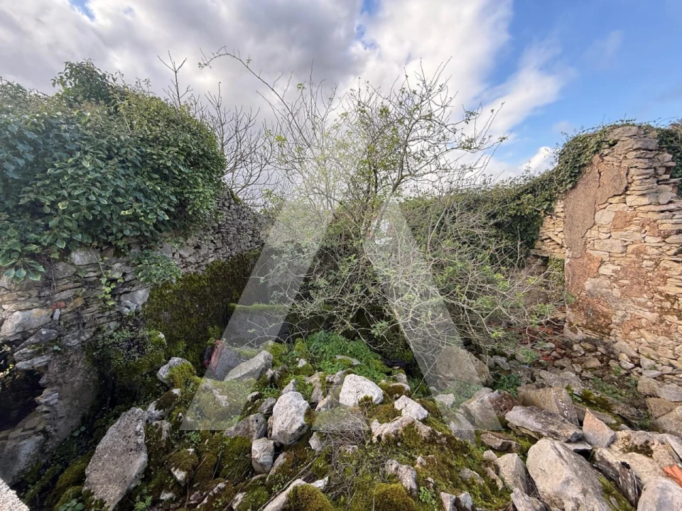 Moradia T2 para Venda em São Mamede Foto 24