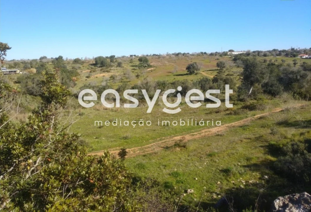 Terreno Agricola ou Rústico para Venda em Pego Foto 6