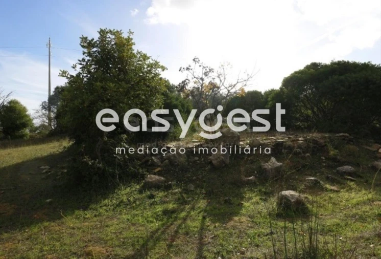 Terreno Agricola ou Rústico para Venda em Pego Foto 2