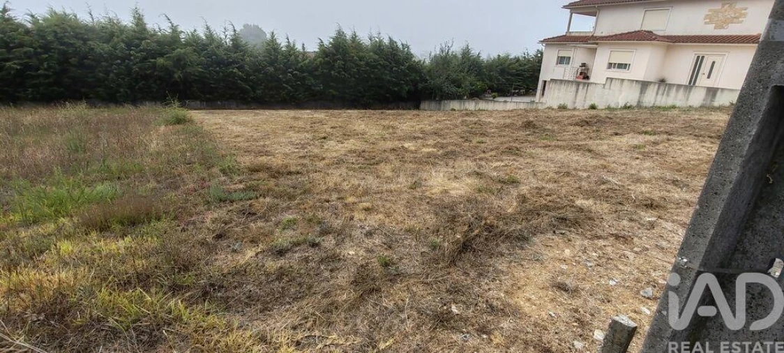Terreno para Venda em Figueiró dos Vinhos e Bairradas Foto 4