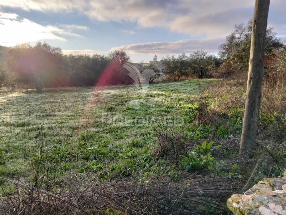 Moradia T2 para Venda em Nossa Senhora da Conceição, São Brás dos Matos, Juromenha Foto 18