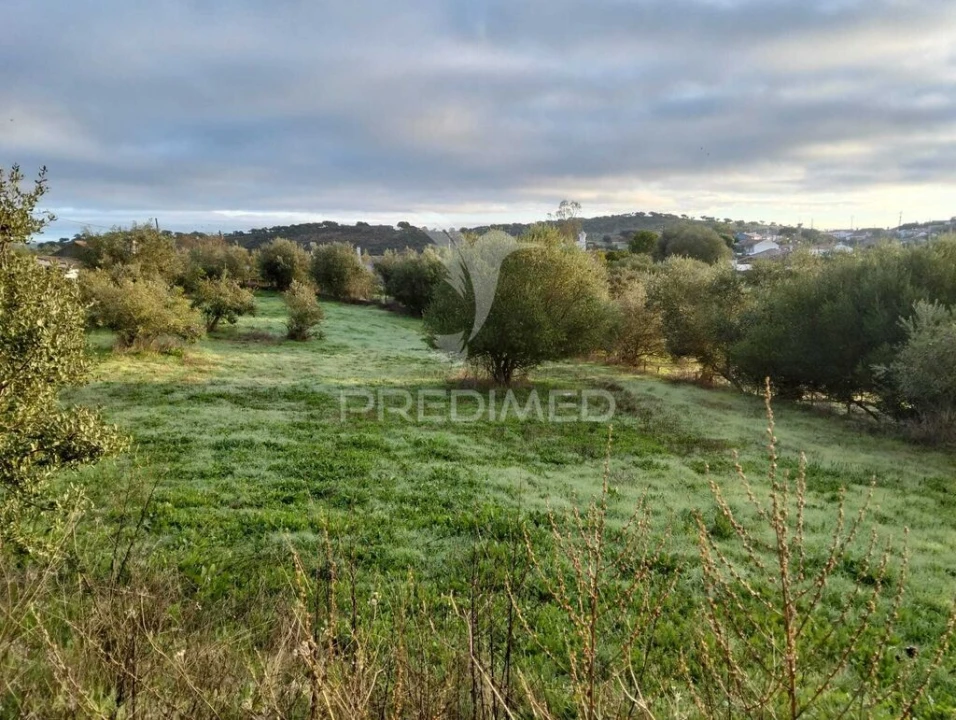 Moradia T2 para Venda em Nossa Senhora da Conceição, São Brás dos Matos, Juromenha Foto 13