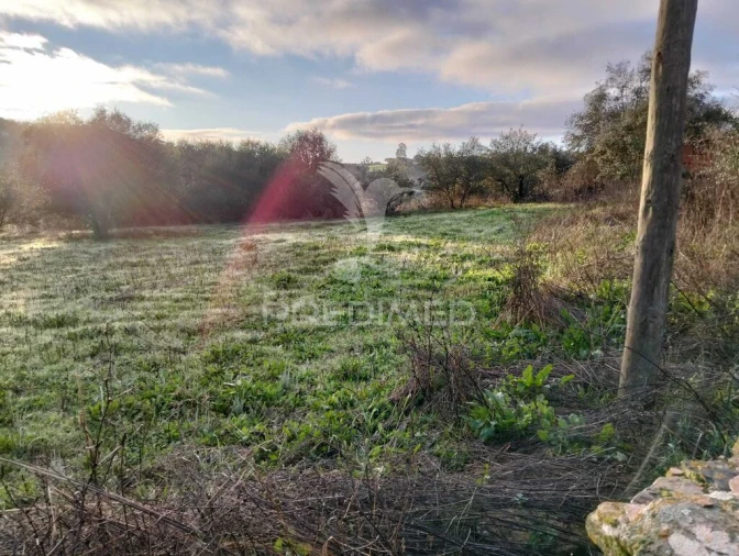 Moradia T2 para Venda em Nossa Senhora da Conceição, São Brás dos Matos, Juromenha Foto 18
