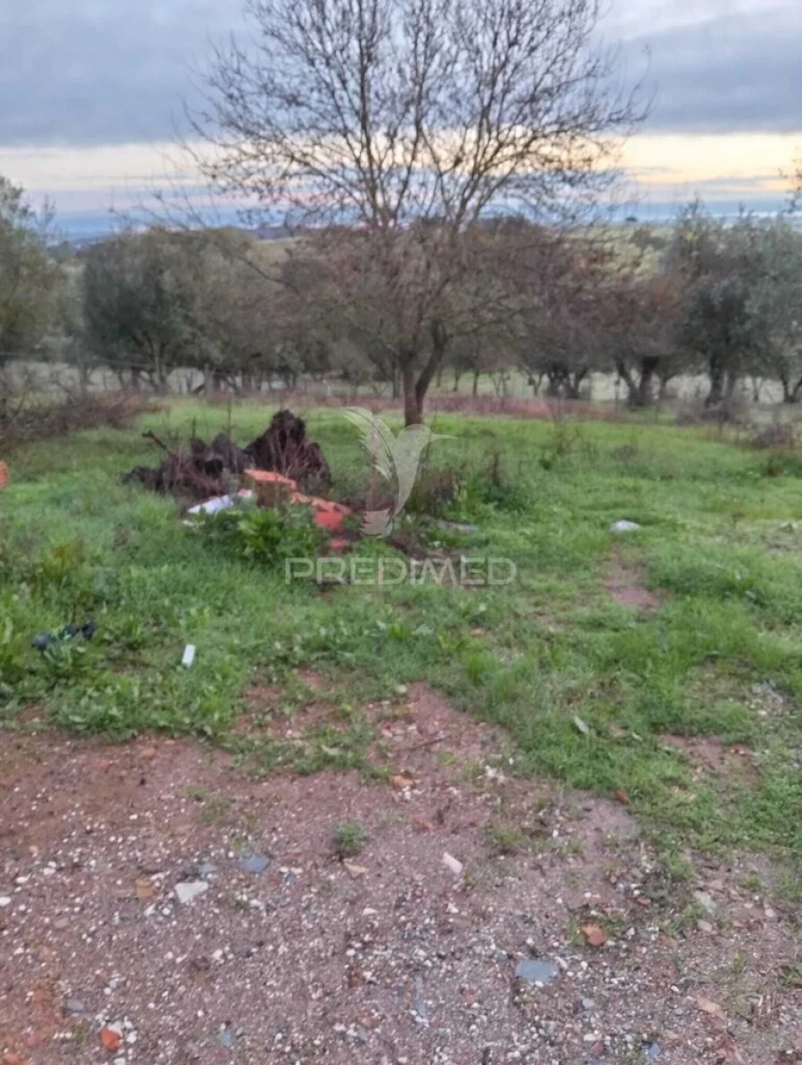 Moradia T2 para Venda em Santiago Maior Foto 18