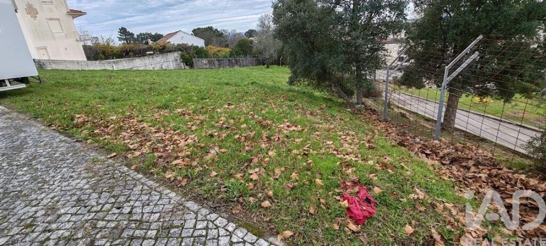 Terreno para Venda em Figueiró dos Vinhos e Bairradas Foto 10
