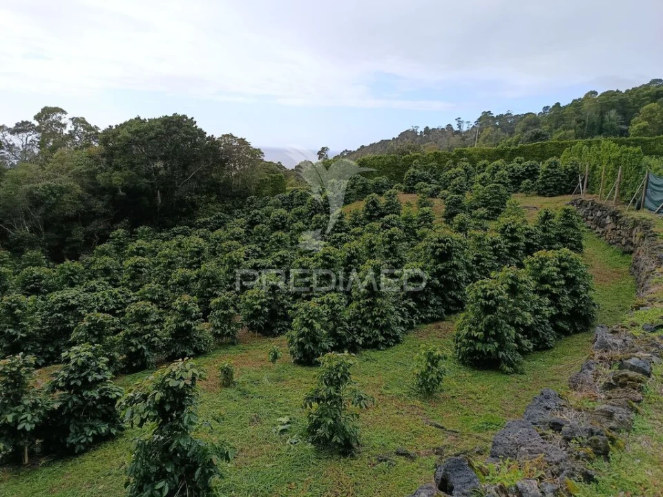 Terreno para Venda em Urzelina (São Mateus) Foto 1