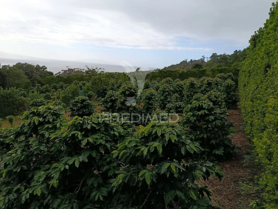 Terreno para Venda em Urzelina (São Mateus) Foto 6