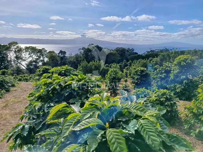 Terreno para Venda em Urzelina (São Mateus) Foto 7