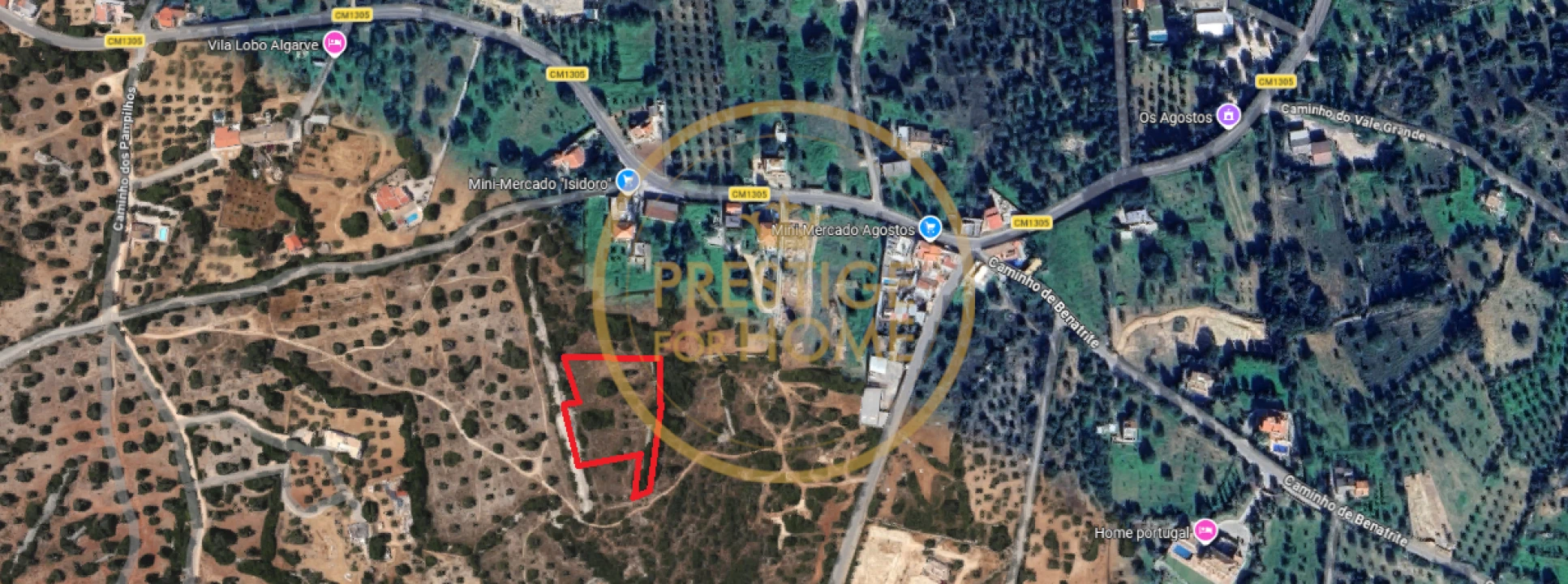 Terreno para Venda em Santa Barbara de Nexe Foto 1