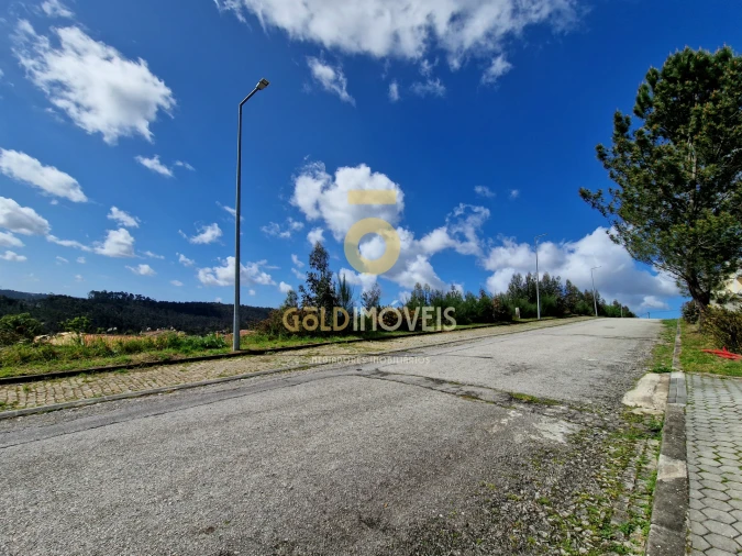 Terreno para Venda em Canedo, Vale e Vila Maior Foto 1