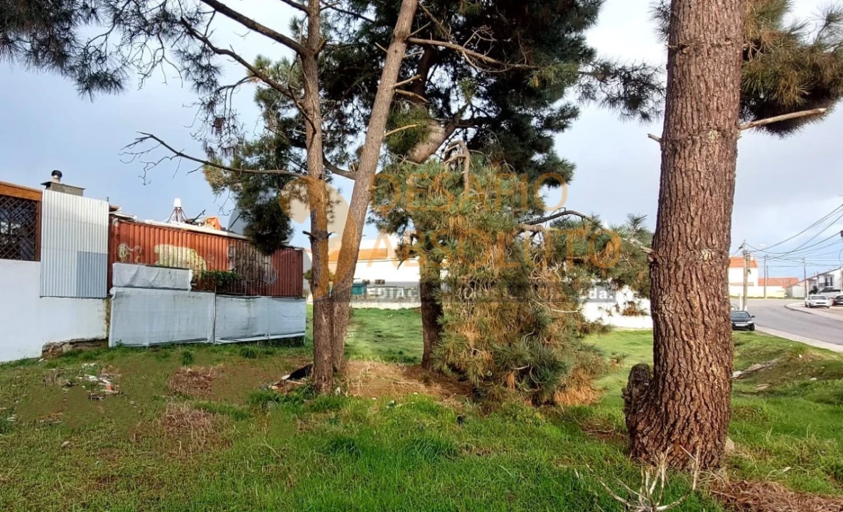 Terreno para Venda em Quinta do Conde Foto 2