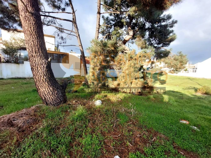 Terreno para Venda em Quinta do Conde Foto 6