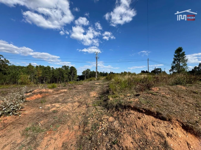 Terreno para Venda em Nossa Senhora da Piedade Foto 23