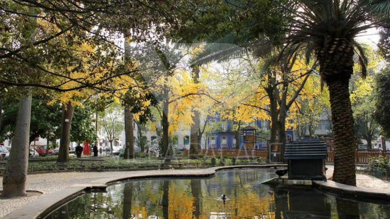 Loja para Venda em Campo de Ourique Foto 1